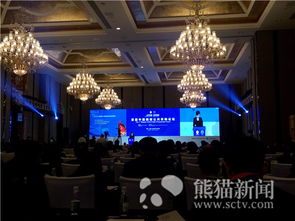 首屆中國西部公共采購大會在蓉舉行，聚焦會議及展覽服務新機遇